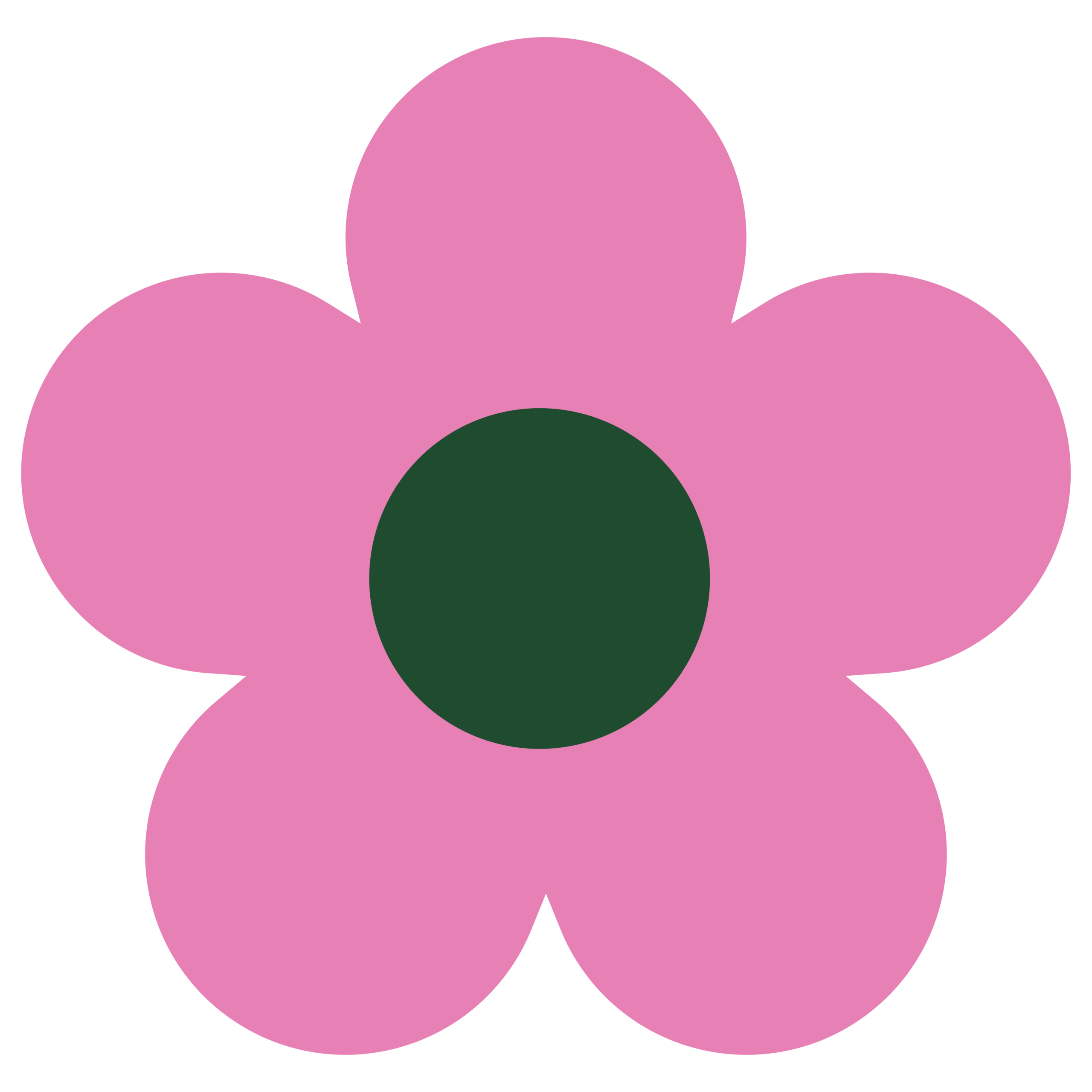 Build To Bloom